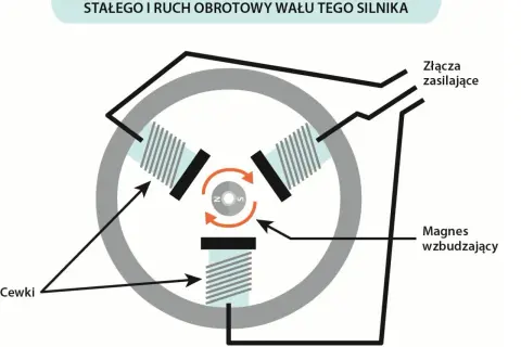 Schemat bezszczotkowego silnika prądu stałego: cewki, magnes wzbudzający i złącza zasilające tworzą mechanizm obrotowy.