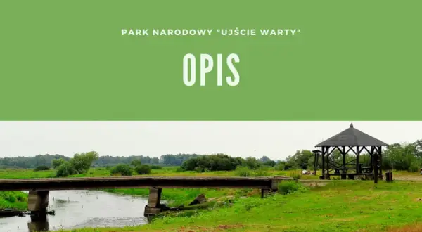 Kiedy powstał park narodowy Ujście Warty? Zaskakujące fakty o jego historii