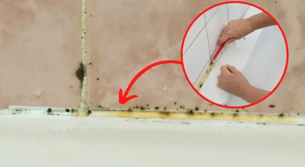 Usuwanie pleśni z silikonu w łazience. Zobacz, czym rozpuścić silikon i pozbyć się grzyba.
